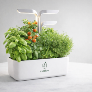 Accueil Potager cultive blanc