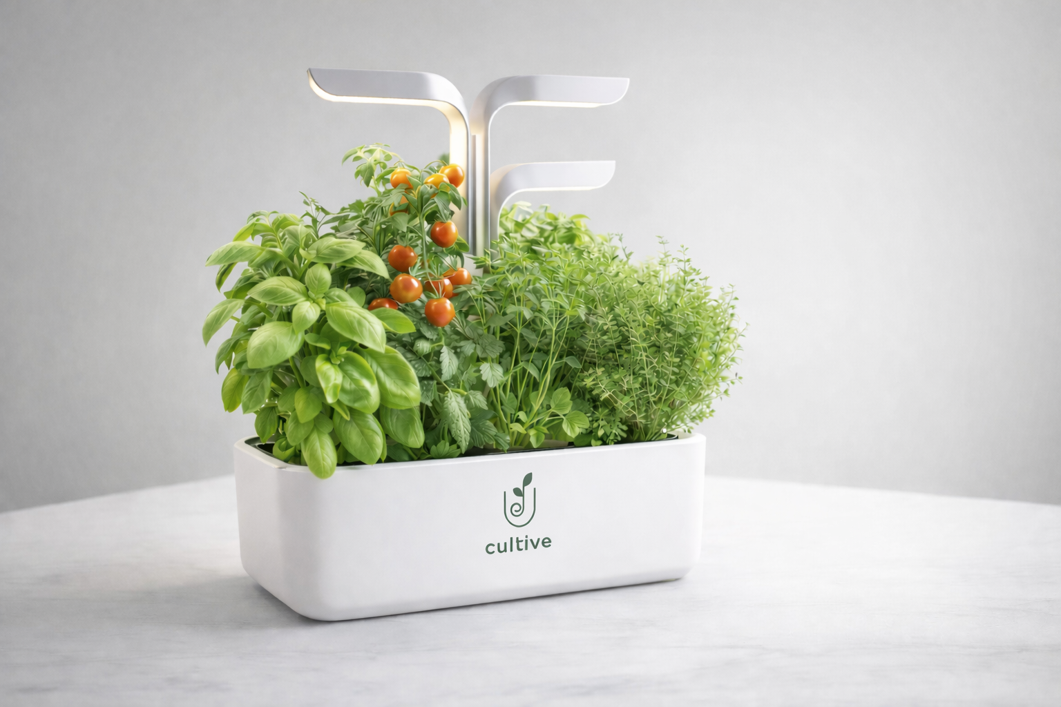 Potager cultive blanc
