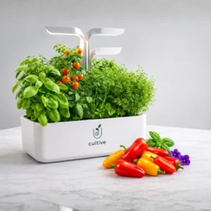 Accueil potager cultive kit