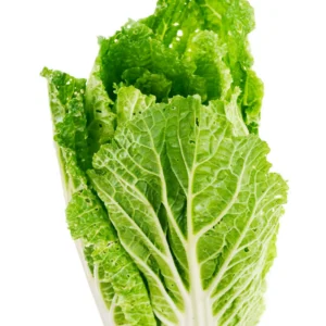 Laitue Romaine