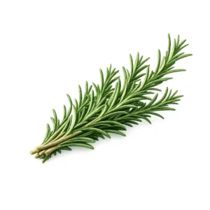 Romarin