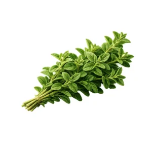origan
